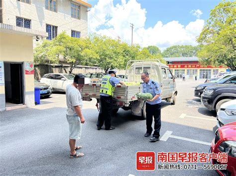 2只野鸟死在公园惹人痛惜，专家建议深埋处理_武汉_新闻中心_长江网_cjn.cn