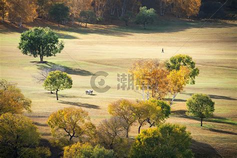 阳光明媚的秋天草地自然背景高清图片下载-正版图片300040733-摄图网
