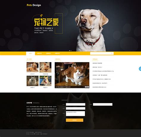 宠物狗网上综合服务平台HTML5手机网站模板_手机网站模板_网站模板_js代码
