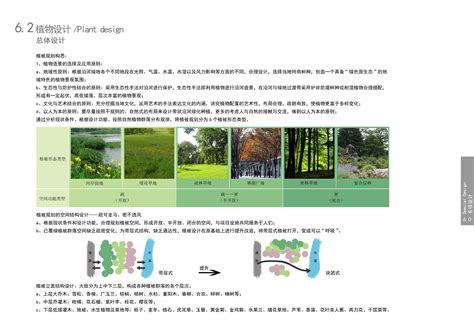 有保障的江苏园林生态景观设计公司，优质的产品与服务_江苏园林生态景观设计_苏州贝伊萨景观设计有限公司