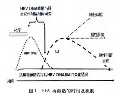 赵英仁教授：慢性HBV感染治疗进展_慢性HBV感染_医脉通
