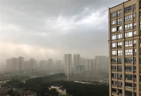 12级雷雨大风袭击浙江青田 大树被连根拔起-天气图集-中国天气网