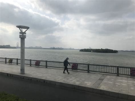 2021苏州金鸡湖迎新跑（时间+地点+路线）- 苏州本地宝