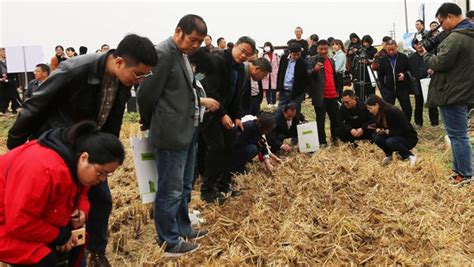 2020年南京市小麦机械化种植农机农艺融合技术现场观摩会成功 ...