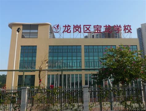 龙岗区小学排名一览表（深圳龙岗民办小学校10大排名） - 学习 - 布条百科