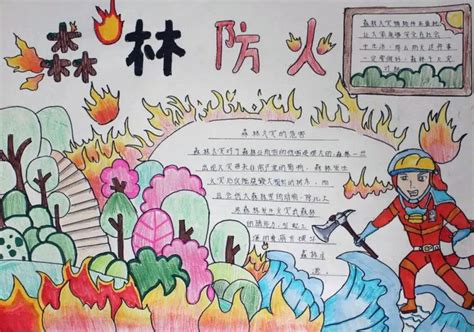 小学生森林防火手抄报内容与图片三年级获奖设计图 - 巧巧简笔画