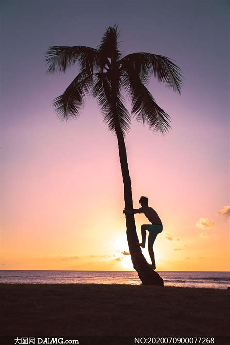 坐着海边的男人背影高清图片图片下载(图片ID:23921)_-海洋海边-图片素材_ 聚图网 JUIMG.COM
