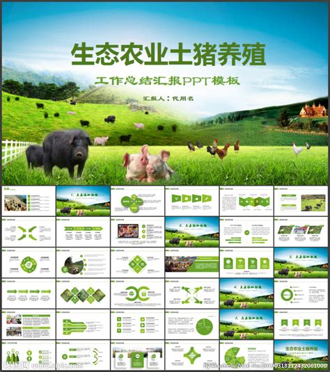农业农村养殖项目计划书动态PPT模板下载_熊猫办公
