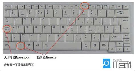 笔记本键盘灯不亮原因 笔记本键盘灯不亮解决方法【详解】 - 知乎