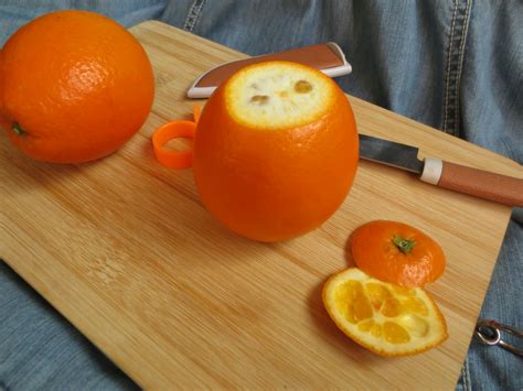 【橙子的做法大全_橙子怎么做好吃_家常做法推荐】_下厨房