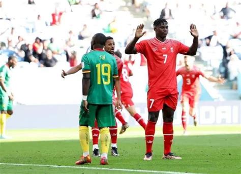 喀麦隆人送给了喀麦隆队世界杯8连败，瑞士队一球小胜迎开门红 - 周到上海
