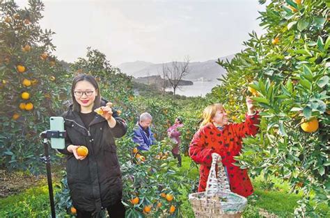 4个月新建8个水果盒马村，700万斤水果出新疆“过节”-中国质量新闻网