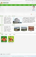 郴州营销型网站优化 的图像结果