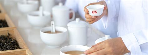 最具匠心的茶具，为年轻人而造，它叫小巨蛋T1！|工业/产品|生活用品|泊喜的Tommy - 原创作品 - 站酷 (ZCOOL)