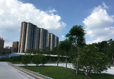 深圳：龙华区环城绿道规划 - 土木在线