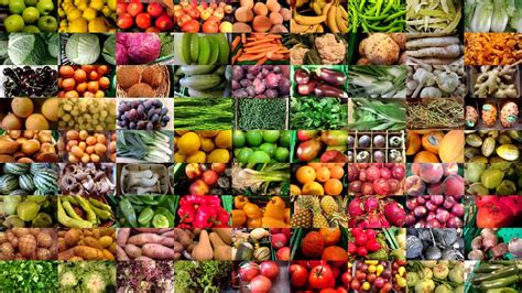 FruitVeg-81 Dataset 水果和蔬菜数据集 - 知乎