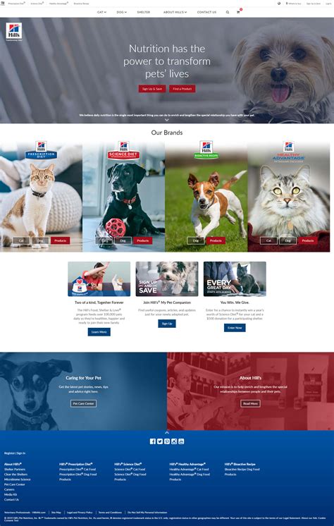 宠物行业外贸网站设计方案, 宠物行业营销型网站方案, 宠物行业 ...