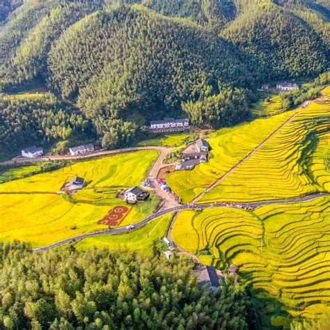 江西赣州：仲夏时节田园美-人民图片网