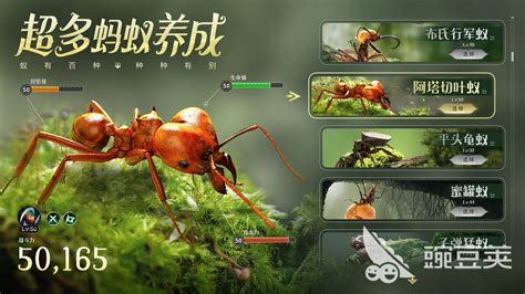 蚂蚁进化3d的游戏有什么 2023高人气动物进化手游手机版盘点_九游手机游戏