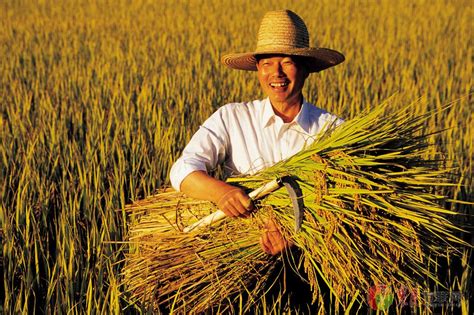 乐土种业携手农民频道《农博士在行动》打造品牌新高度！