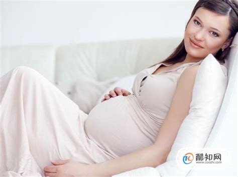 胎儿发育到分娩全过程：怀孕4周至40周过程图解|准妈妈|发育|胎儿_新浪新闻