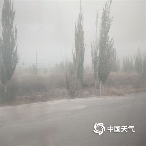 喀什莎车县大风沙尘天气来袭 - 新疆首页 -中国天气网