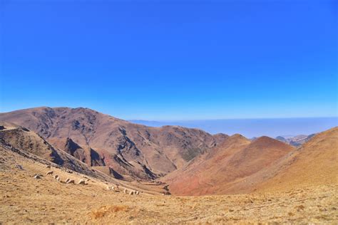 Dahai Grass Mountain, known as “China’s New Zealand” | govt.chinadaily ...