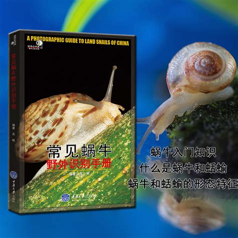 【蜗牛2摄影图片】公园生态摄影_視線_太平洋电脑网摄影部落