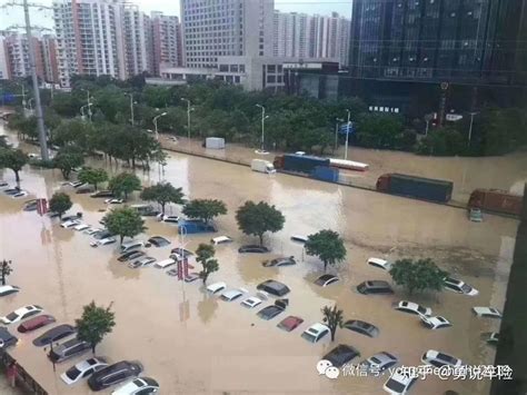 组图：平顶山暴雨后数十辆汽车被淹 市区严重积水--本地新闻——中原网