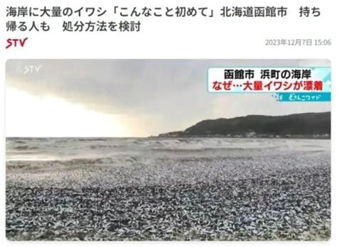 变异章鱼在日本沿海出没，当地渔民称第一次见到，或被核辐射污染|核辐射|废水|核泄漏_新浪新闻