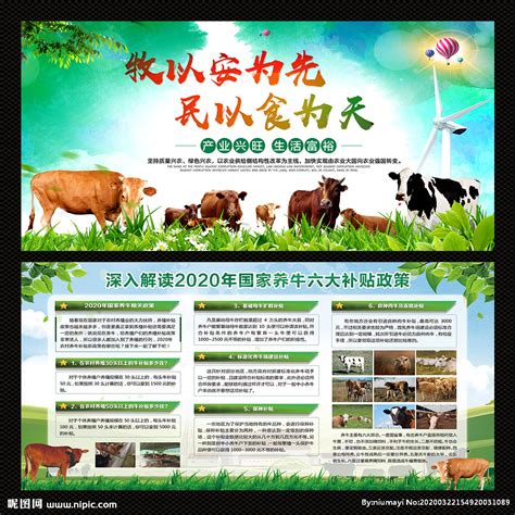 牛养牛场 牛养牛场-食品商务网