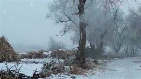 80年代冬天下雪的场景，枯藤老树昏鸦满满的乡愁记忆，突然想回老家看看！_腾讯视频