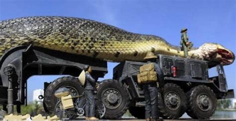 100米巨蟒,30米巨蟒,巨蟒_大山谷图库