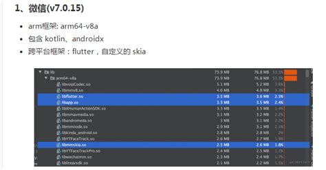 国内少有的Flutter干货分享：Flutter的原理及美团的实践！-移动端开发