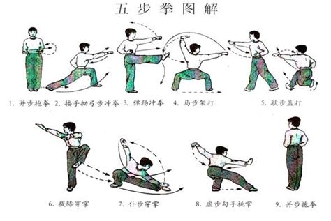 武术“五步拳”、身体素质练习教学设计------林华章_郭传东_新浪博客