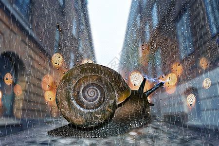 蜗牛励志海报图片素材-正版创意图片500387225-摄图网