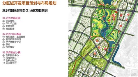 东联规划思辨周案例01丨合肥滨湖新区核心区城市设计_包河大道_层面_巢湖