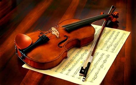 小提琴价格一般多少钱一把 好一点的1500~3000元(初学者可以便宜点) - 神奇评测