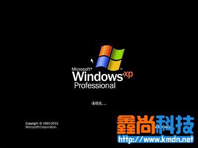 电脑公司XP系统安装包下载_电脑公司Windows XP SP3极速专业版免激活下载V2021.06 - 系统之家