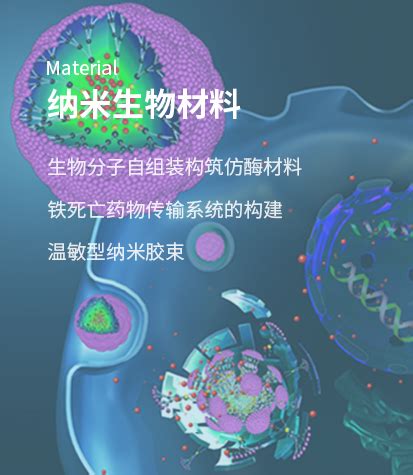 类生物膜纳米药物递送体系类别与来源简介-技术日志-苏州微流纳米生物技术