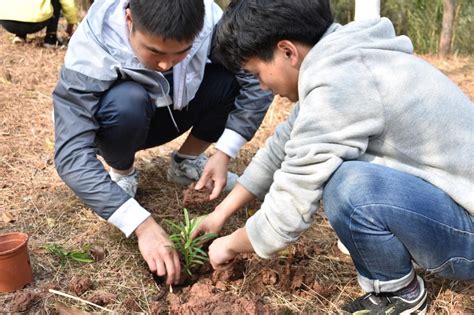 理工学院开展植树节种树活动-河南开封科技传媒学院