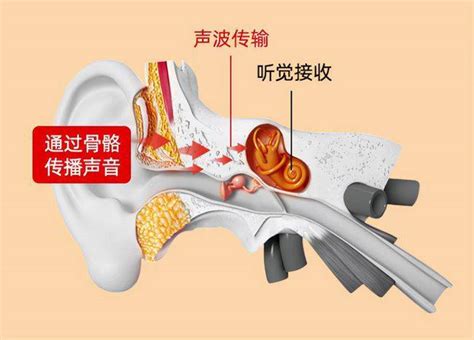 耳机的危害到底有多大？什么耳机对耳朵伤害小并适合佩戴_传导_声音_损伤