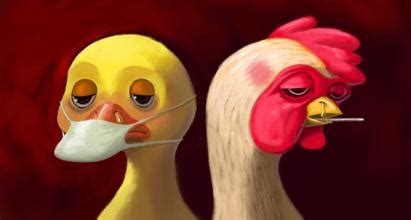 禽流感的症状图片-禽流感图片大全-禽流感-39疾病百科