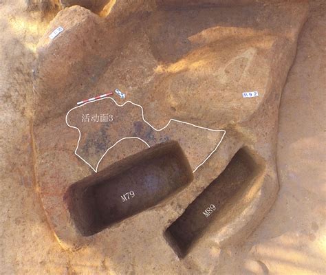 秦始皇陵陵西发现大型墓葬 出土金骆驼-天下事-长沙晚报网