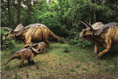 三角龙：北美洲大型恐龙（长8米/最强食草恐龙之一）_探秘志