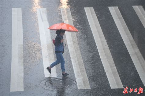 2020年七月武汉暴雨最新消息 武汉暴雨情况_旅泊网