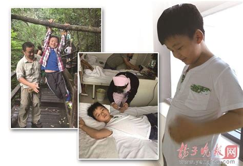 8岁男孩2个月疯长20多斤 捐骨髓救白血病父亲 - 青岛新闻网