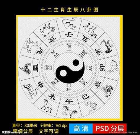十二生肖八卦图图片