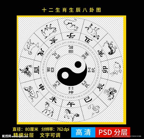 12属相与五行属性表，十二生肖怎么分五行