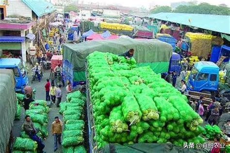 国家发改委：蔬菜批零价格回落，其中菠菜批发价降幅超10%__财经头条